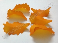 Cánh Oro To Đục màu Cam