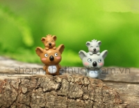 Gấu Koala