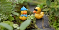 Vịt đội mũ