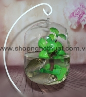 Bình bầu dục thấp marimo