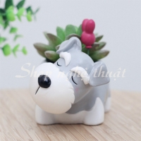Chậu gốm hình Schnauzer