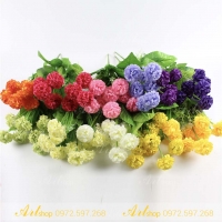 Cúc vạn thọ