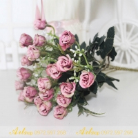 Cụm hồng nhí A101