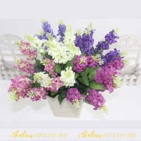 Cụm phi yến nhỏ