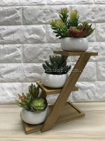 Bộ cốc trồng cây - Bậc thang