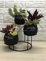 Chậu trồng sen đá - KT1