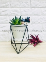 Chậu trồng sen đá - KT2