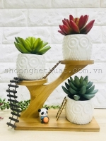 Bộ cốc trồng cây - Hình cây