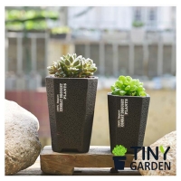 Chậu trồng cây - KT4