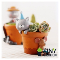 Chậu trồng cây chú gấu Ryan