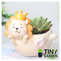 Chậu trồng cây sư tử bay