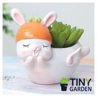 Chậu trồng cây thỏ bay