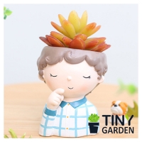 CHẬU TRỒNG CÂY - SUNNY BOY