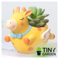 CHẬU TRỒNG CÂY - HƯƠU BAY