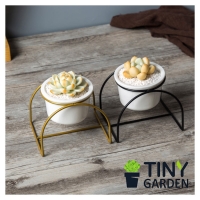 Chậu trồng cây - KT5