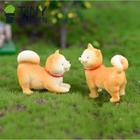 Chú chó Shiba