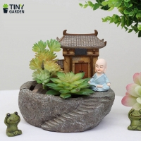 Chậu chú tiểu giả đá