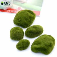 Rêu cục 3cm