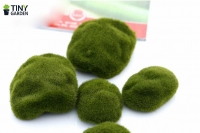 Rêu cục 6cm