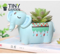 CHẬU VOI THỔ CẨM