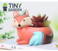 CHẬU CÁO THỔ CẨM