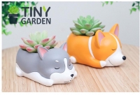 Chậu gốm động vật nằm