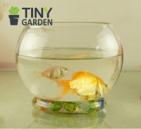 ANG TRÒN ĐẾ THẤP CỠ SỐ 4