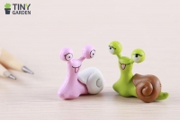 Ốc sên mắt to