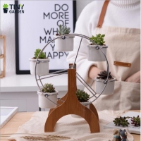 Chậu trồng cây - xích đu