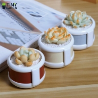 Chậu sứ màu 8cm