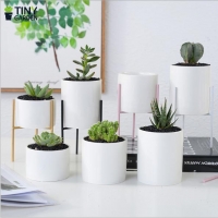 Chậu trồng cây 3 chân - cỡ nhỏ