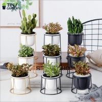 Chậu trồng cây KT 3 cỡ tròn - lớn