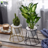 Chậu trồng cây - KT9