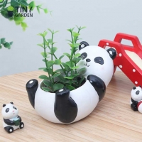 Chậu trồng cây gấu trúc