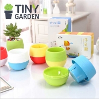 Chậu tự tưới mini