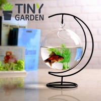 Tròn treo marimo 15cm