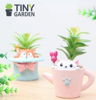 Chậu mèo trong ly