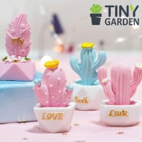 Chậu xương rồng may mắn