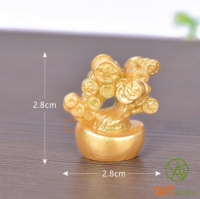 Cây kim tiền mini