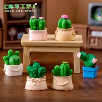 Túi xương rồng mini 