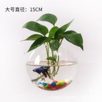 Thủy tinh treo tường (15cm)