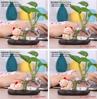 Chậu thủy tinh mèo may mắn  