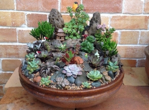 Chậu Sứ Trồng Cây: Hướng Dẫn Phân Loại, Chọn Kiểu Dáng, Kích Thước & Lỗ Thoát Nước