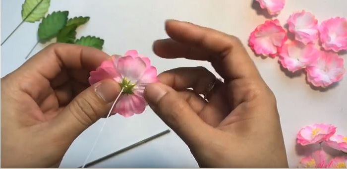 Gắn đài hoa