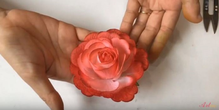 Hoa hồng 3D
