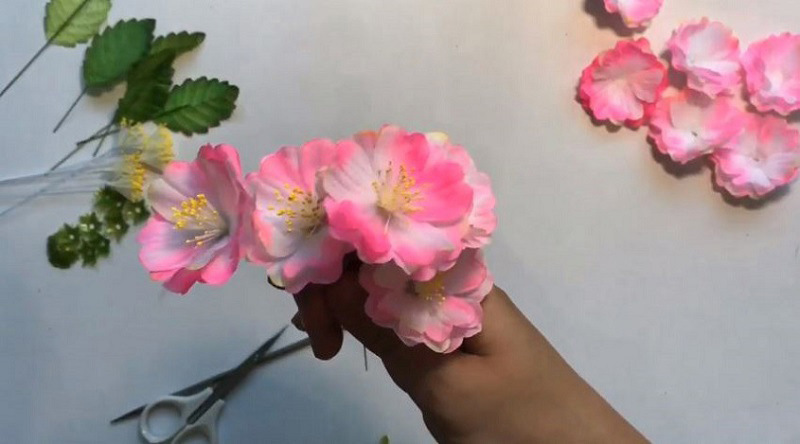 Hoa đào 3d