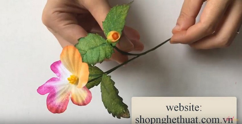 Hoa Pansy 3D