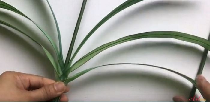 Quấn các lá lại với nhau