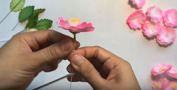 Lấy keo sáp quấn quanh cành đào