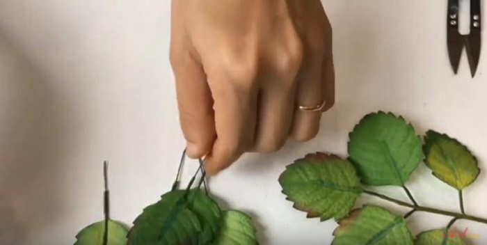 Quấn keo sáp xung quanh cành lá